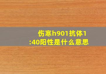 伤寒h901抗体1:40阳性是什么意思