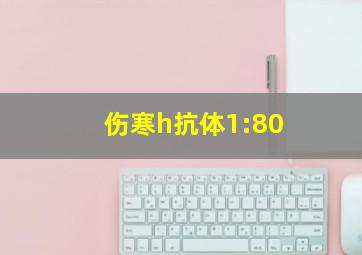 伤寒h抗体1:80