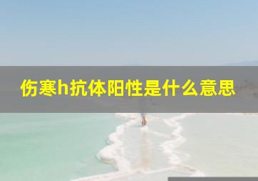 伤寒h抗体阳性是什么意思