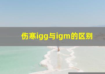 伤寒igg与igm的区别