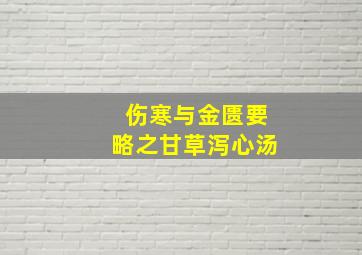 伤寒与金匮要略之甘草泻心汤