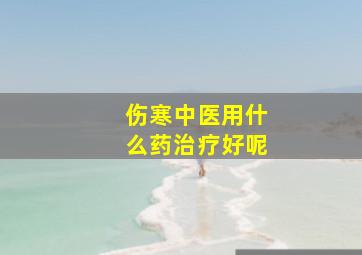 伤寒中医用什么药治疗好呢