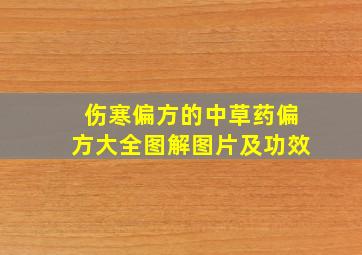 伤寒偏方的中草药偏方大全图解图片及功效