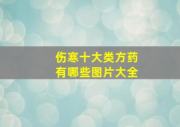 伤寒十大类方药有哪些图片大全