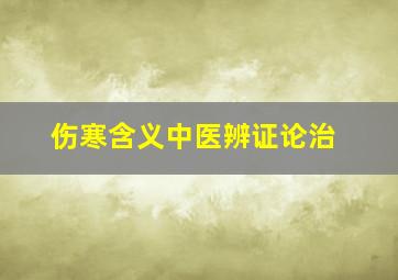 伤寒含义中医辨证论治