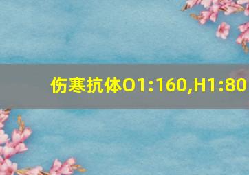 伤寒抗体O1:160,H1:80