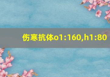 伤寒抗体o1:160,h1:80