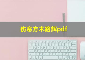 伤寒方术路辉pdf