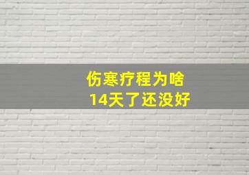 伤寒疗程为啥14天了还没好