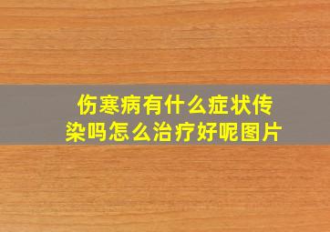 伤寒病有什么症状传染吗怎么治疗好呢图片