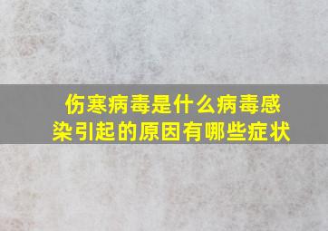 伤寒病毒是什么病毒感染引起的原因有哪些症状