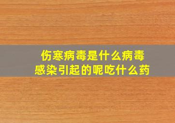 伤寒病毒是什么病毒感染引起的呢吃什么药