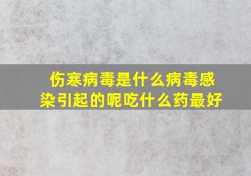 伤寒病毒是什么病毒感染引起的呢吃什么药最好