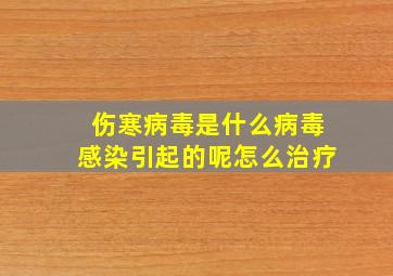 伤寒病毒是什么病毒感染引起的呢怎么治疗