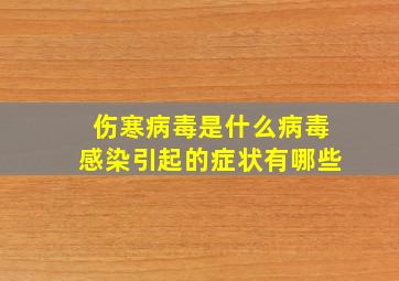 伤寒病毒是什么病毒感染引起的症状有哪些