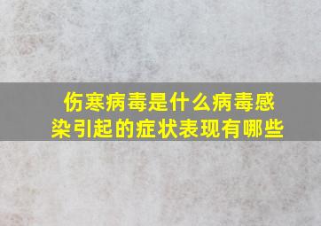 伤寒病毒是什么病毒感染引起的症状表现有哪些