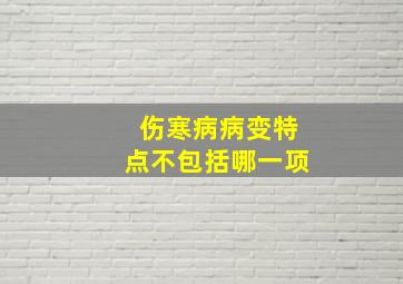 伤寒病病变特点不包括哪一项