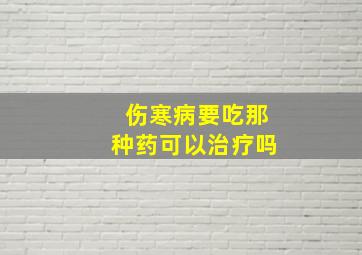 伤寒病要吃那种药可以治疗吗