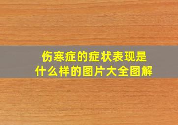 伤寒症的症状表现是什么样的图片大全图解