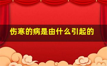 伤寒的病是由什么引起的