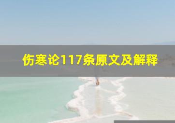 伤寒论117条原文及解释