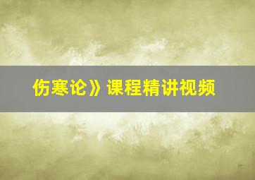 伤寒论》课程精讲视频