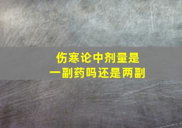 伤寒论中剂量是一副药吗还是两副