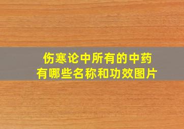 伤寒论中所有的中药有哪些名称和功效图片