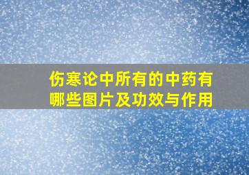 伤寒论中所有的中药有哪些图片及功效与作用