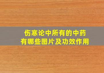 伤寒论中所有的中药有哪些图片及功效作用