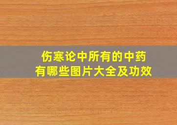 伤寒论中所有的中药有哪些图片大全及功效