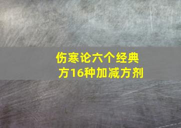 伤寒论六个经典方16种加减方剂