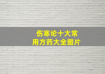 伤寒论十大常用方药大全图片