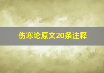 伤寒论原文20条注释