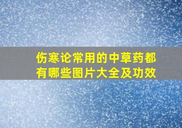 伤寒论常用的中草药都有哪些图片大全及功效