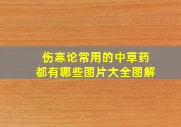 伤寒论常用的中草药都有哪些图片大全图解