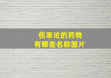 伤寒论的药物有哪些名称图片