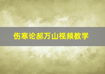 伤寒论郝万山视频教学