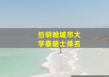 伯明翰城市大学泰晤士排名