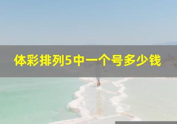 体彩排列5中一个号多少钱