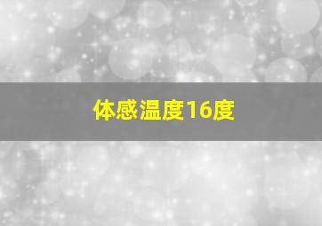 体感温度16度