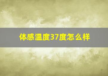 体感温度37度怎么样