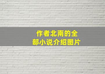 作者北南的全部小说介绍图片