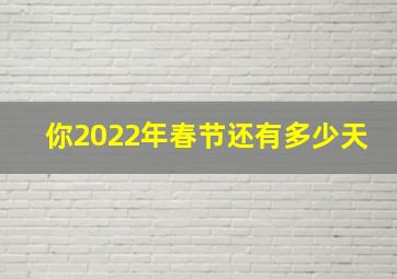 你2022年春节还有多少天