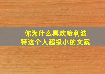 你为什么喜欢哈利波特这个人超级小的文案