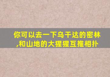 你可以去一下乌干达的密林,和山地的大猩猩互推相扑