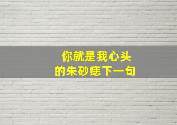 你就是我心头的朱砂痣下一句