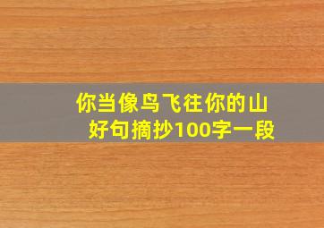 你当像鸟飞往你的山好句摘抄100字一段