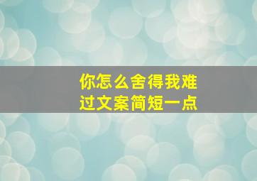 你怎么舍得我难过文案简短一点