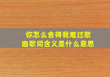 你怎么舍得我难过歌曲歌词含义是什么意思